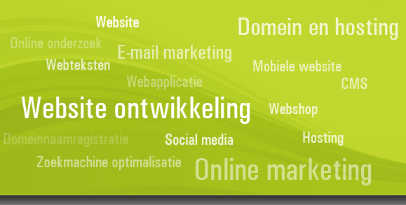 Diensten van internetbureau Vis.nl
